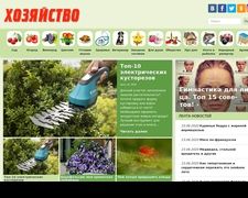Thumbnail of Hozvo.ru
