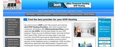 Hyip-hosting.com