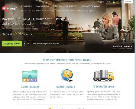 website thubmnail of iBackup