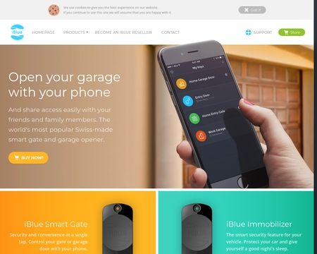 website thubmnail of IBlue