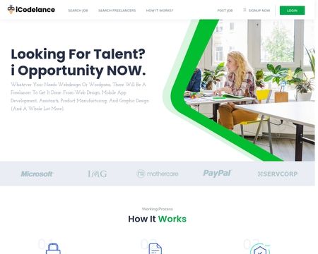 website thubmnail of iCodelance