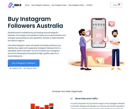 website thubmnail of Idigic.io