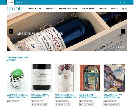 website thubmnail of IEGOR