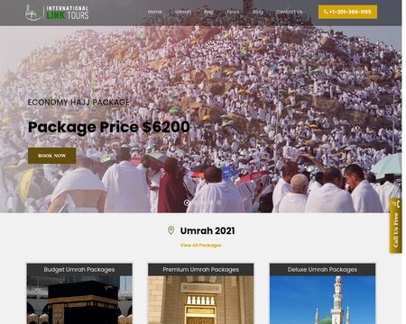 website thubmnail of I Link Tours