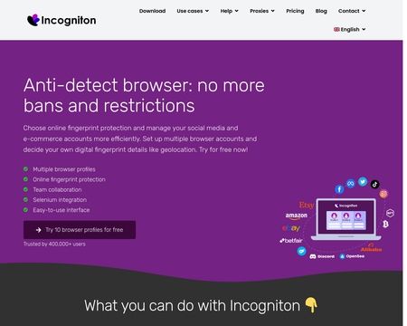 website thubmnail of Incogniton
