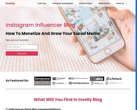 website thubmnail of inSelly