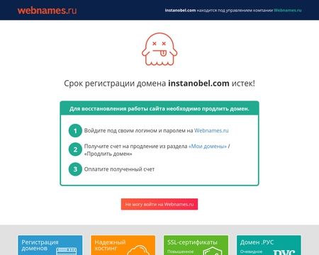 website thubmnail of InstaNobel