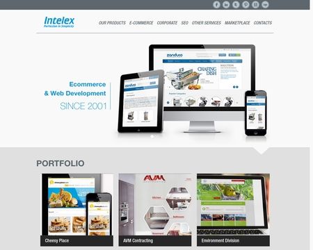 website thubmnail of Intelex