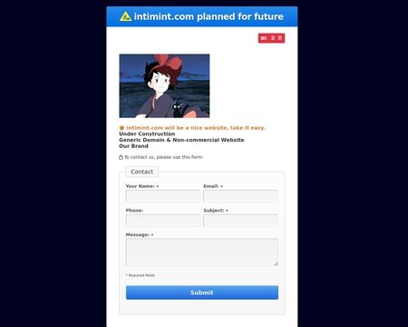 website thubmnail of Intimint