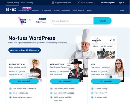 website thubmnail of Ionos