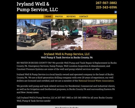 website thubmnail of IvylandWell