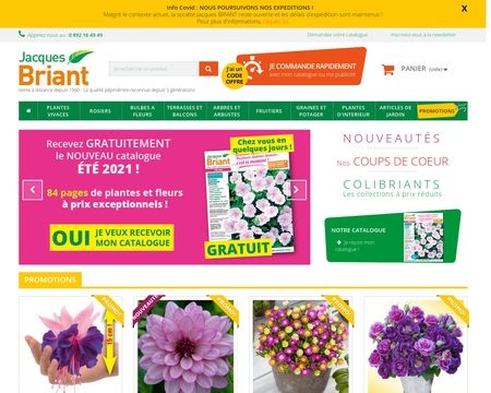 website thubmnail of Jacques Briant