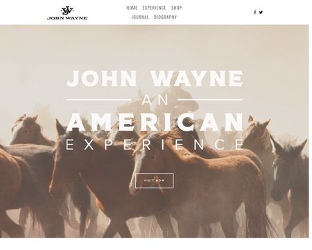 website thubmnail of John Wayne Enterprises