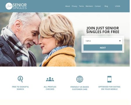 website thubmnail of Just Senior Singles