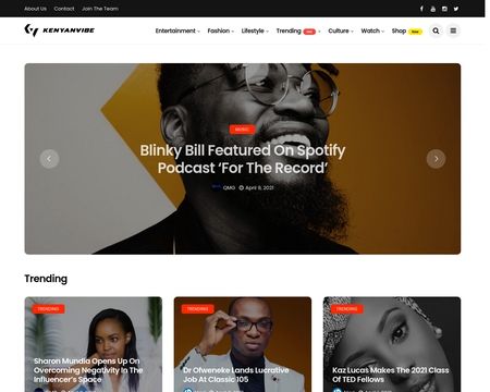 website thubmnail of Kenyanvibe