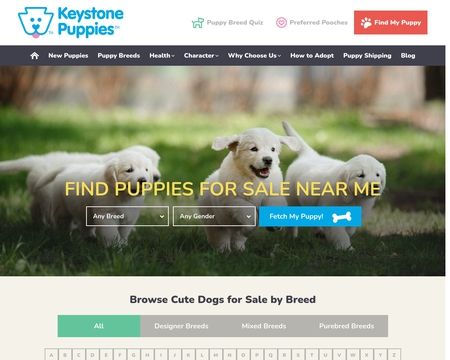 Keystone Puppies