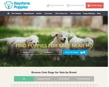 Thumbnail of Keystone Puppies