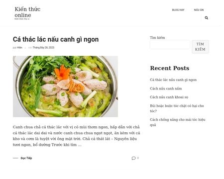 website thubmnail of Kienthuc.info.vn