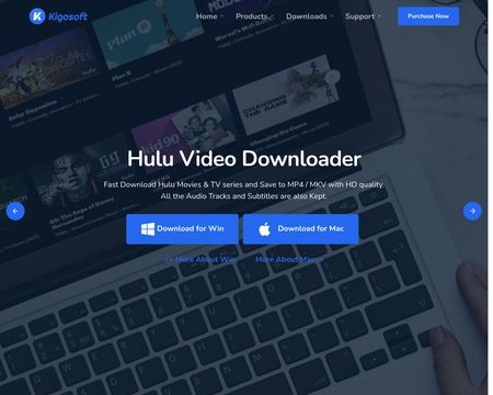 website thubmnail of KigoSoft Inc