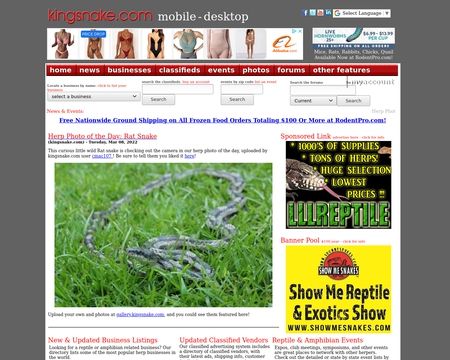 website thubmnail of kingsnake