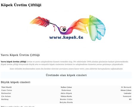 website thubmnail of Kopek.tc