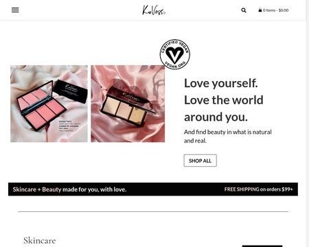 website thubmnail of K Voss