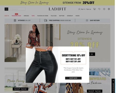 website thubmnail of Ladifit