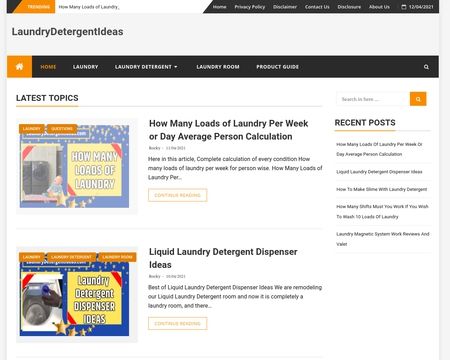 website thubmnail of Laundrydetergentideas