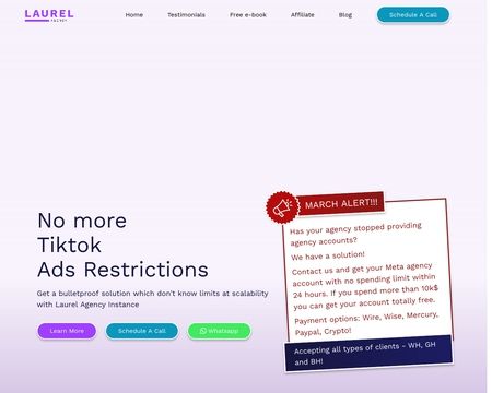 website thubmnail of Laurelagency.co