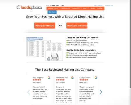 website thubmnail of Leadsplease