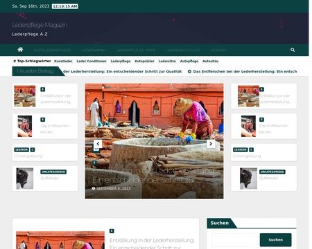 website thubmnail of Leder-pflege.net