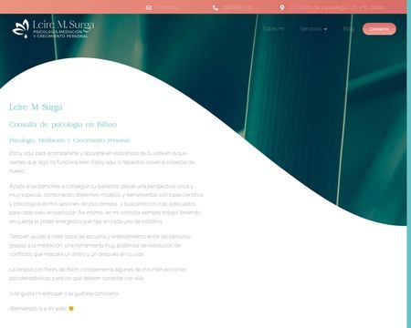 website thubmnail of Leiremsurga