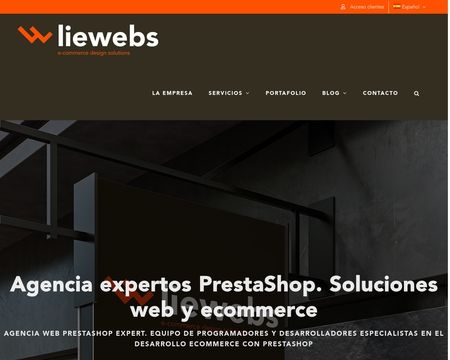 website thubmnail of Liewebs