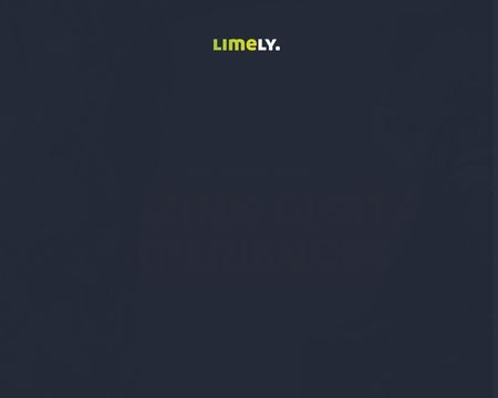 website thubmnail of Limely.co.uk