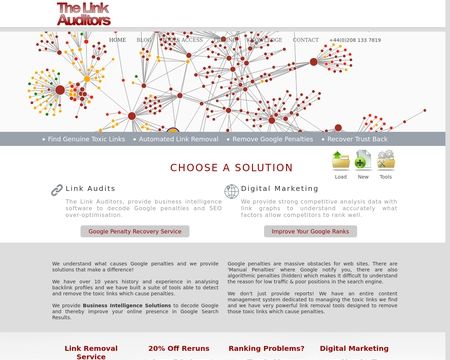 website thubmnail of The Link Auditors