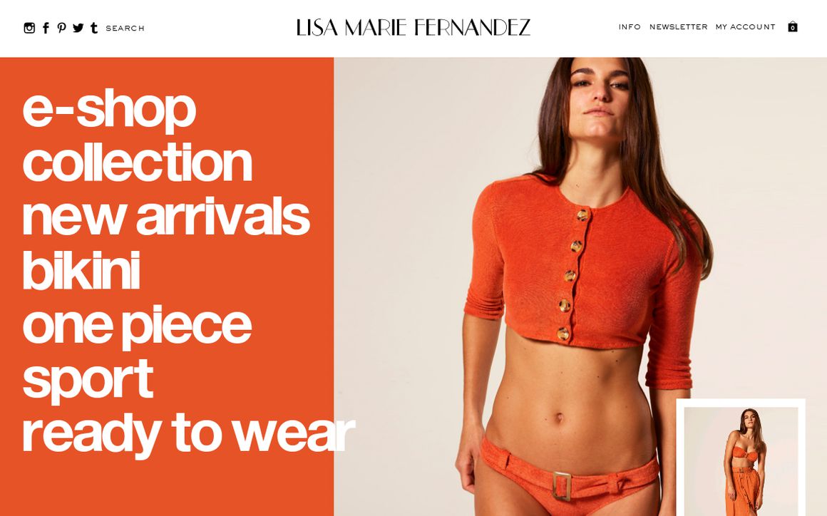 website thubmnail of Lisa Marie Fernandez