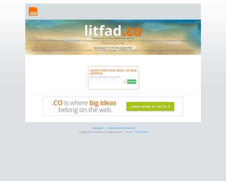 website thubmnail of Litfad.co