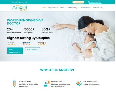 website thubmnail of Littleangelivf