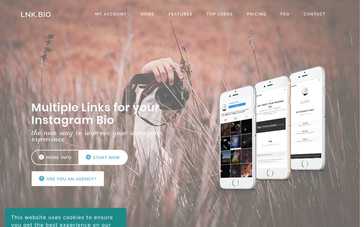 website thubmnail of Lnk.bio