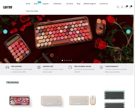 website thubmnail of Lofree