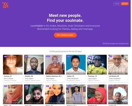 website thubmnail of LoveHabibi