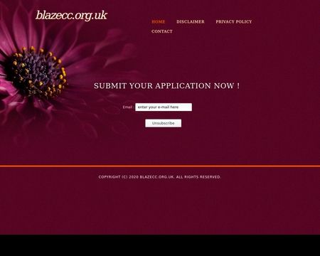 website thubmnail of Blazecc