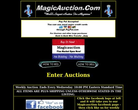 website thubmnail of MagicAuction