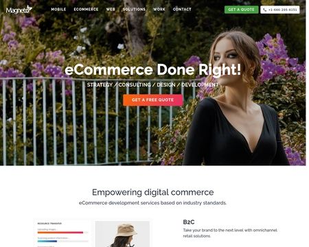 website thubmnail of Magneto IT Solutions