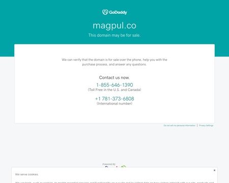website thubmnail of Magpul.co