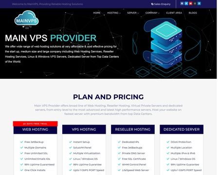 website thubmnail of Main VPS Provider