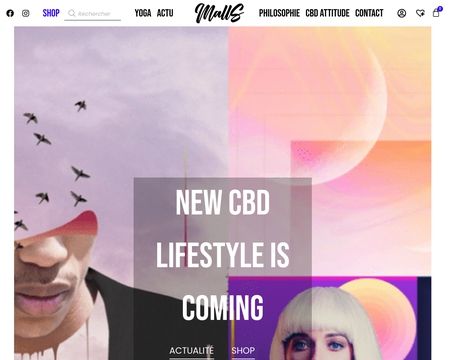 website thubmnail of Mallstore.fr