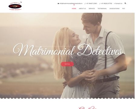 website thubmnail of Matrimonialdetectivesindia.in