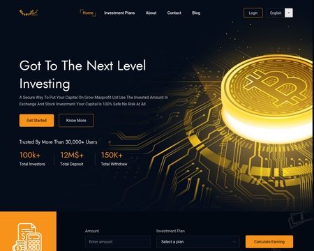 website thubmnail of Maxprofitltd