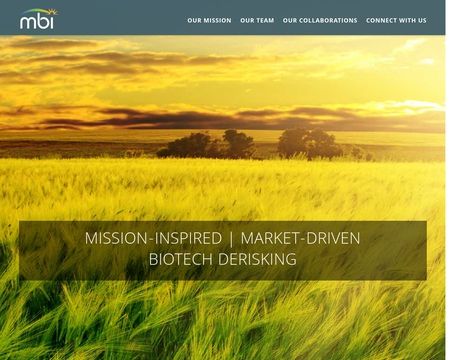 website thubmnail of Mbi.org